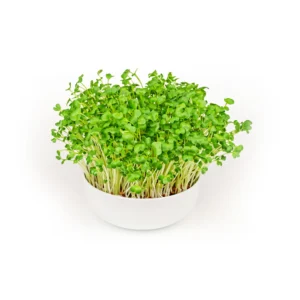 microgreens