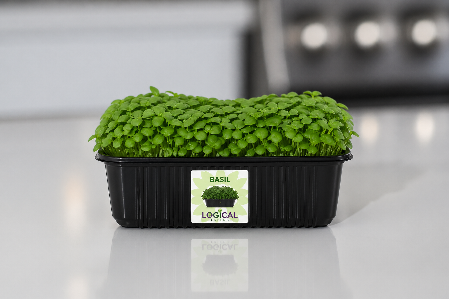 Basil Microgreens