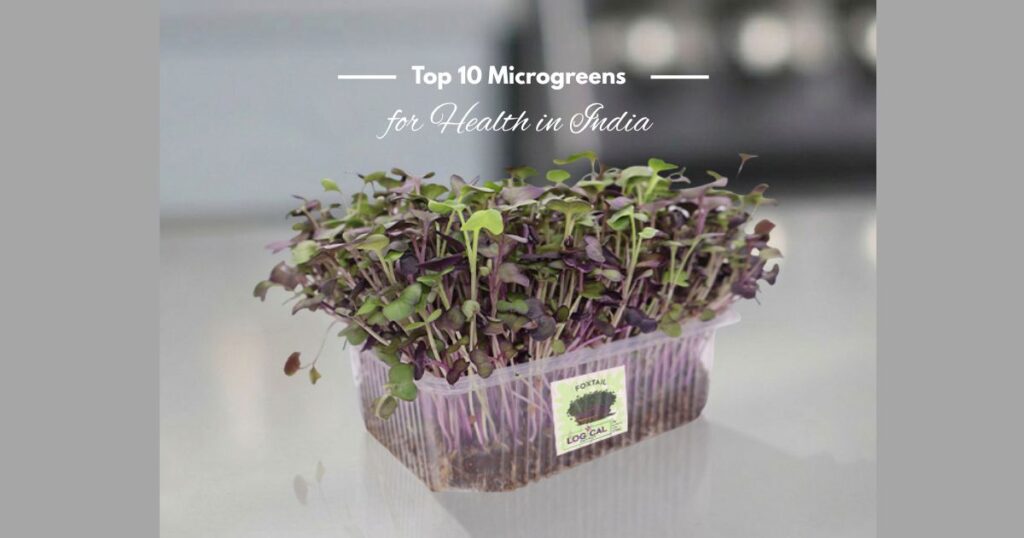 microgreens benifits india