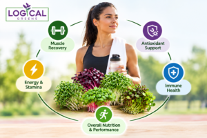 microgreens for sports persons
