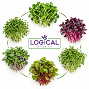 Best Microgreens for Sports Peoples