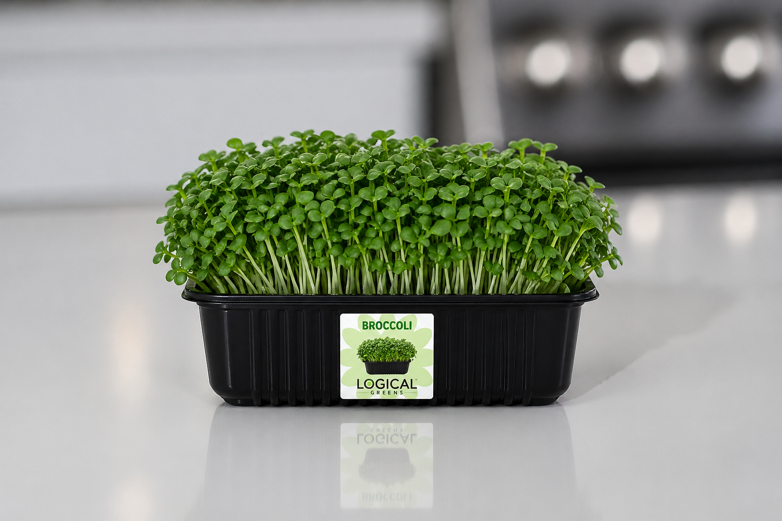 Broccoli-Microgreen